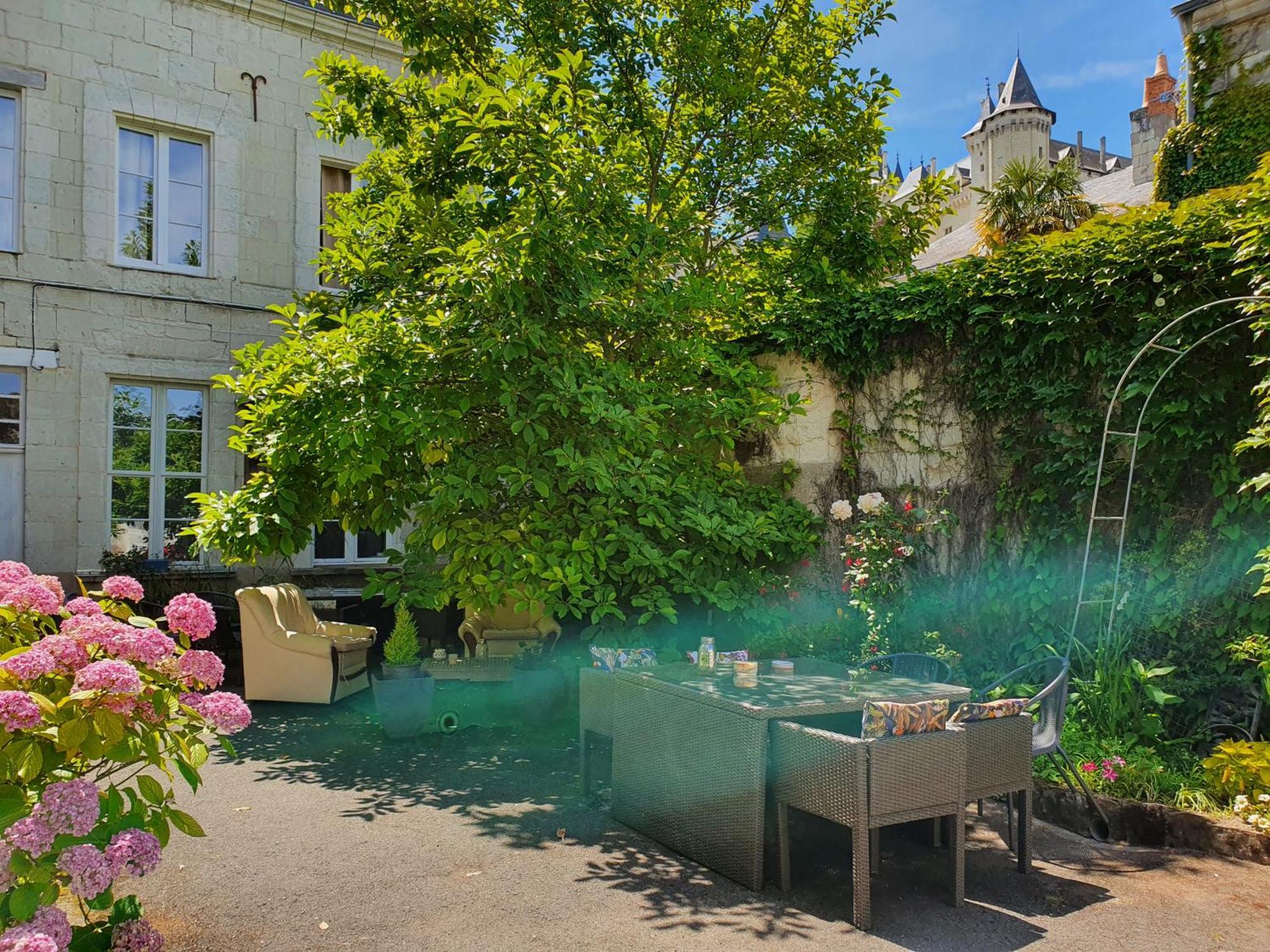Vue Sur Chateau Et Loire Saumur Exteriör bild